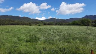 8 Hec. / 6 Hec. per ensilar a St Esteve de Llémena