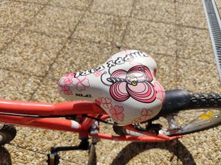 Bicicleta niña 