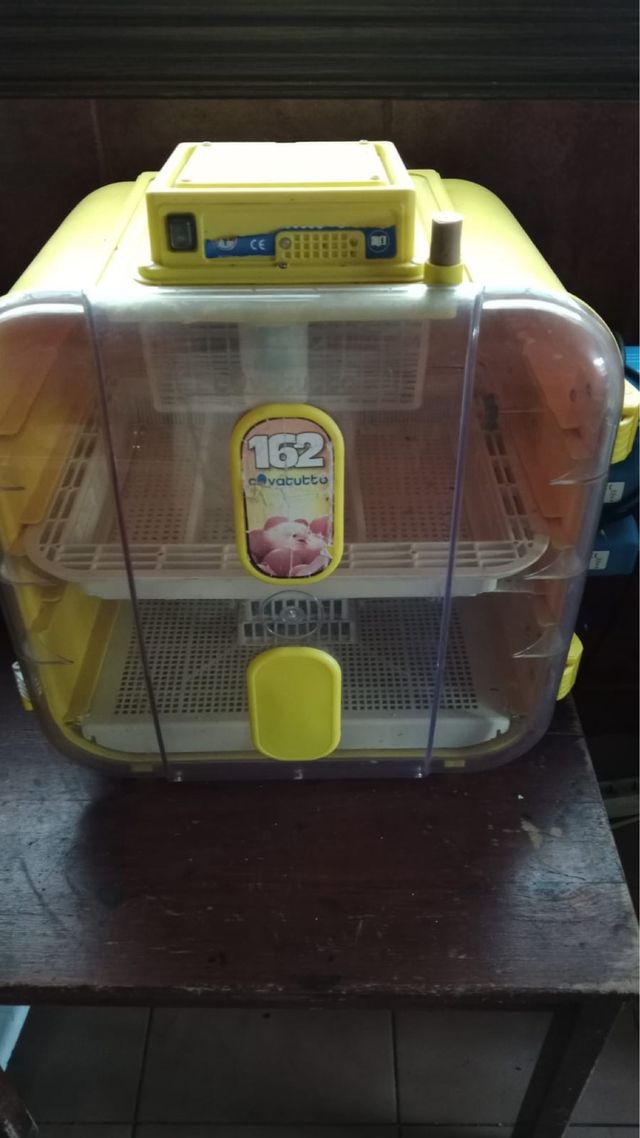 Incubadora huevos 162 huevos