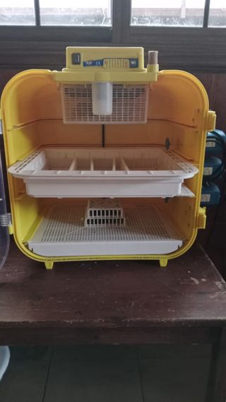 Incubadora huevos 162 huevos