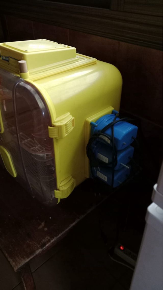 Incubadora huevos 162 huevos