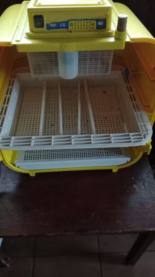 Incubadora huevos 162 huevos