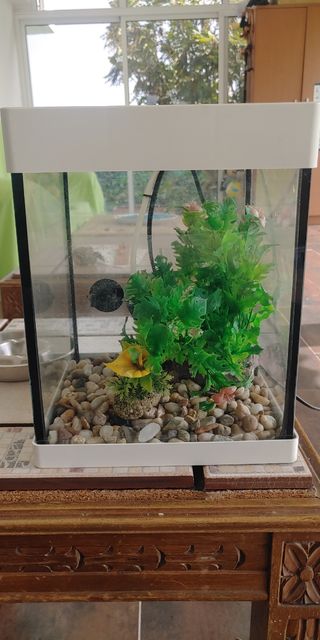 Pecera pequeña blanca