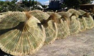 Sombrillas de carril verzo mimbre