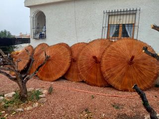 Sombrillas de carril verzo mimbre