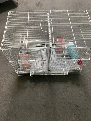 Jaulones para pájaros blancos
