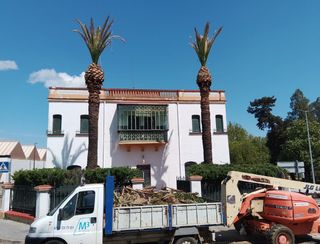 Desbroce parcelas - Limpieza jardín