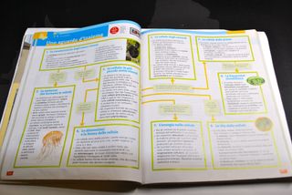 Osservare e capire le scienze - Libro Scienze 1° M