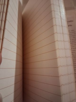 Diario Milano Piazza Duomo