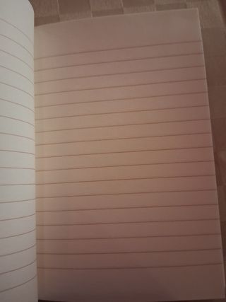 Diario Milano Piazza Duomo