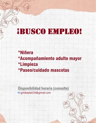 Limpiadora