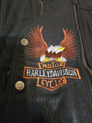 Harley Davibson