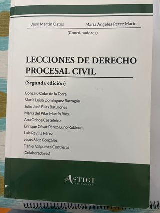 Lecciones derecho procesal civil