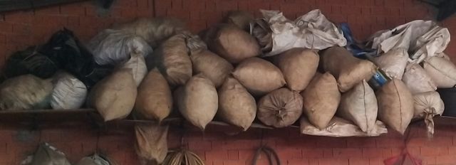 Sacos de trigo,cebada