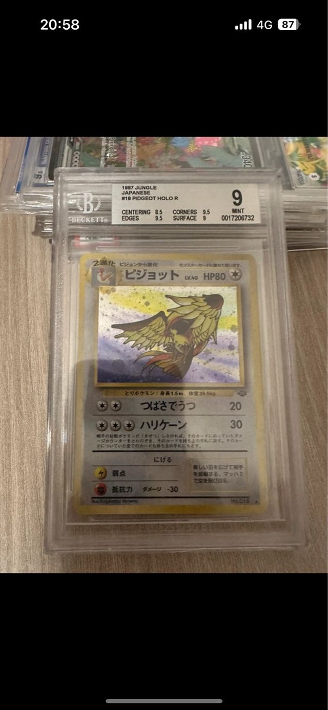 Pidgeot holo set jungle jap N.018 gradata
