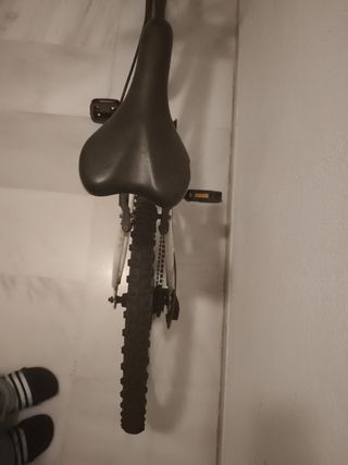 Bicicleta montaña juvenil (precio negociable)