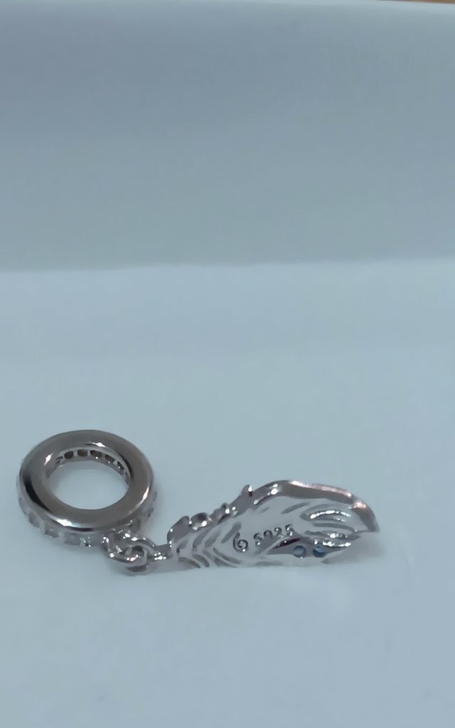 Charm Pluma Loro Plata 925
