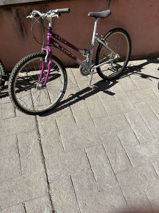 Bicicleta montaña Rasta