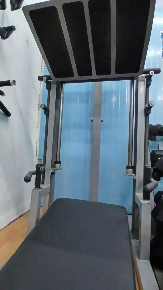 Prensa Pierna Vertical