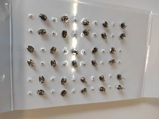 Orecchini con rose dipinte