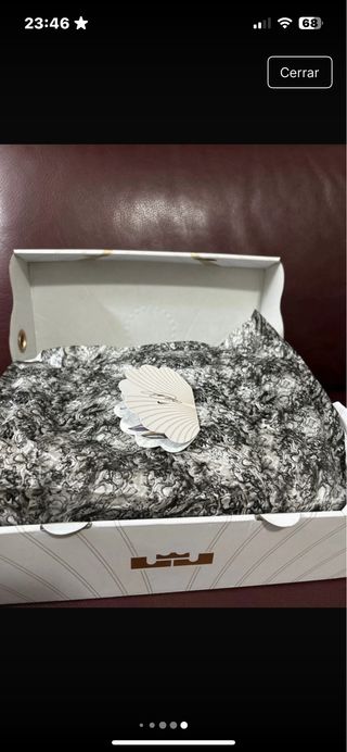 Lebron XXI Melon Tint - Zapatillas Baloncesto