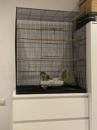 jaula grande para pajaros y loros