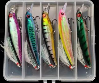 5 Señuelos pesca black bass lucio cebo