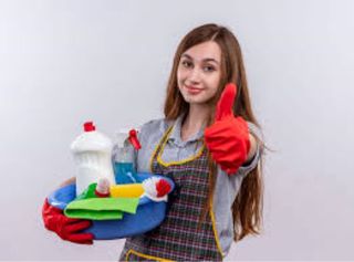 Servicio limpieza hogar 10€/H
