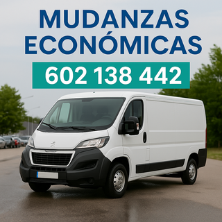 Servicio profesional de mudanza económica