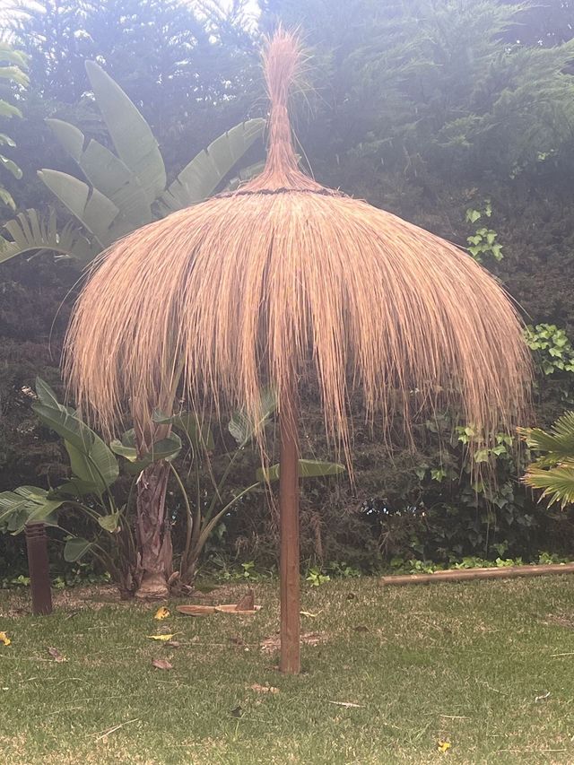 OMBRELLO CARRITX O CARRIZO