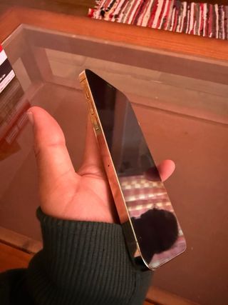 iPhone 12 Pro Max 256GB - Dorado