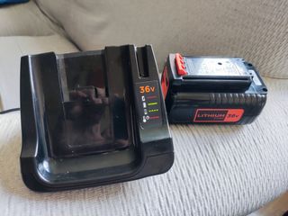 Cargardor y bateria 2,5Ah 36V