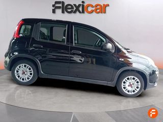 Fiat Panda Panda Hybrid 1.0 51kw (70CV)