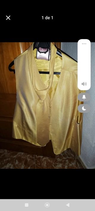 Chaleco y corbata dorados