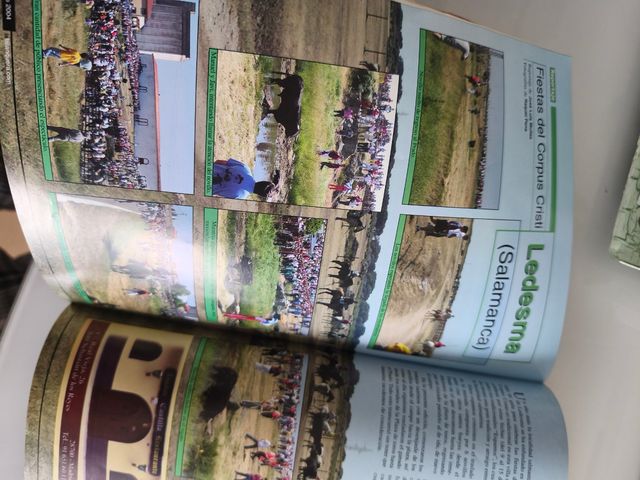 Revista de tauromaquia . Toros