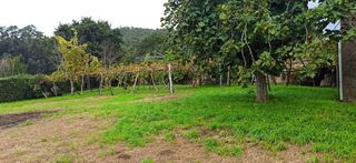 Finca urbana en el centro de Brión