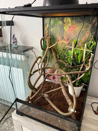 TERRARIO CAMALEON VIDRIO