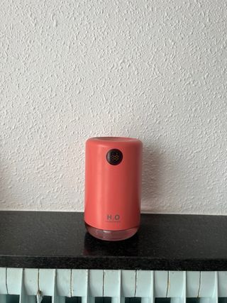 TERRARIO CAMALEON VIDRIO