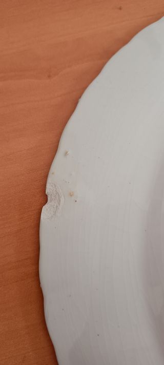 Plato Pickman circa 1899-1900