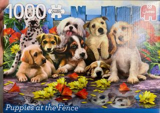 Puzzle disney e non