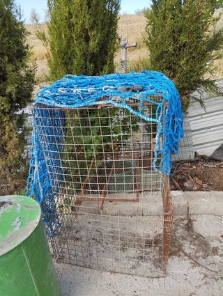 Jaula para gallinas - Azul y Plata