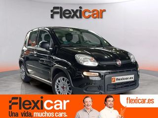 Fiat Panda Panda Hybrid 1.0 51kw (70CV)