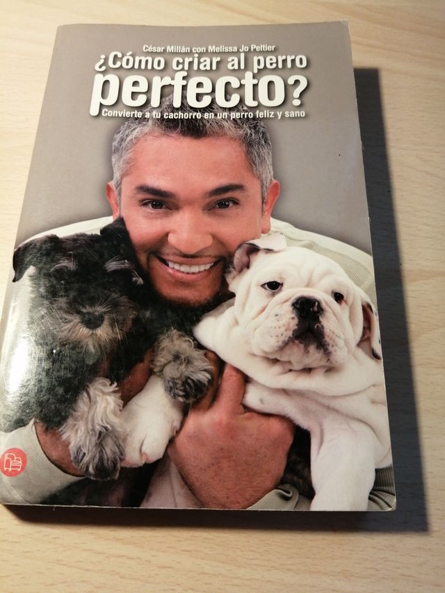 ¿COMO CRIAR AL PERRO PERFECTO?