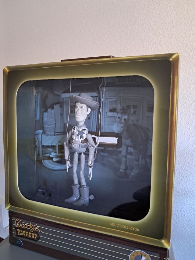 Woody,s roundup television de Toy Story