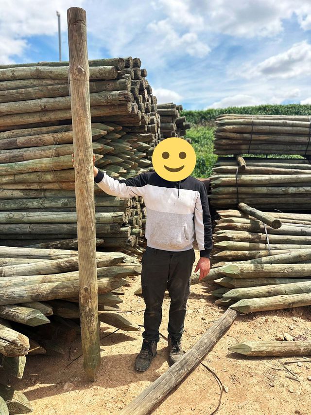 Postes de madera tratada
