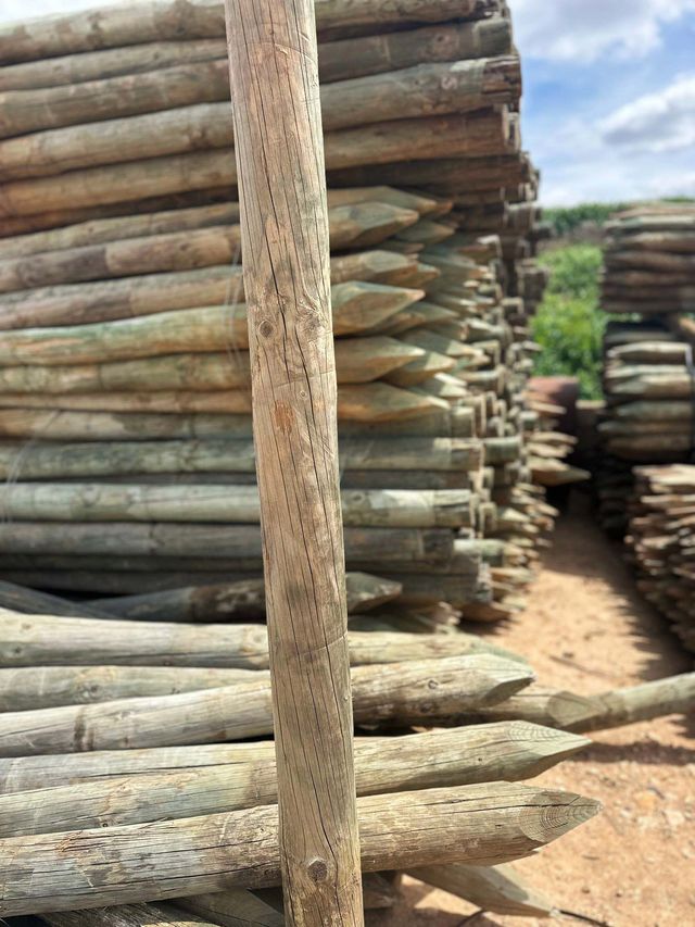 Postes de madera tratada