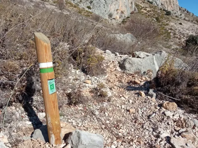 Postes de madera tratada