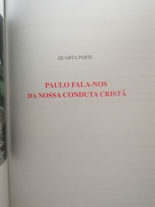 " Um ano a caminhar com S. Paulo"