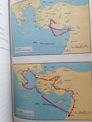 " Um ano a caminhar com S. Paulo"