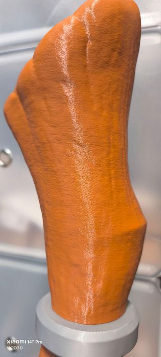 FRIEREN Baston de Fern